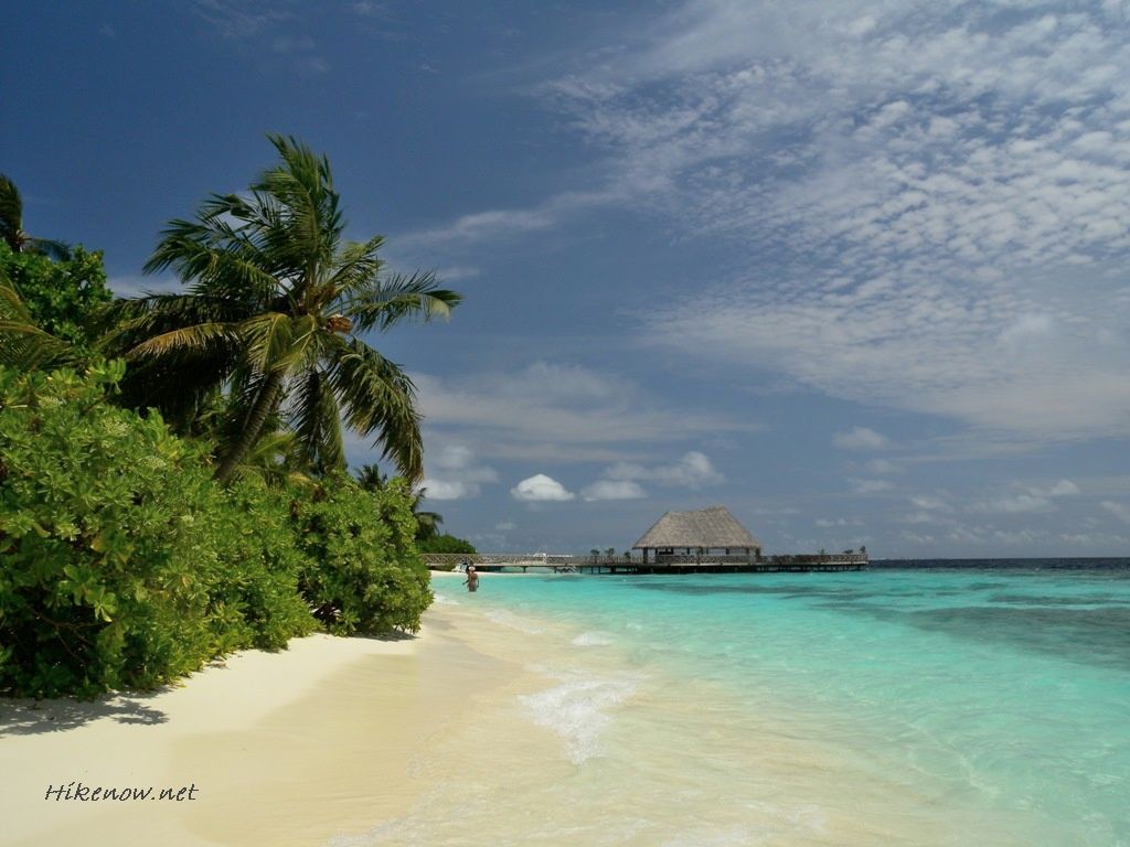 Maldives - clear water of Maldives
