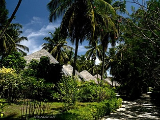 Vacation in Maldives Bandos resort